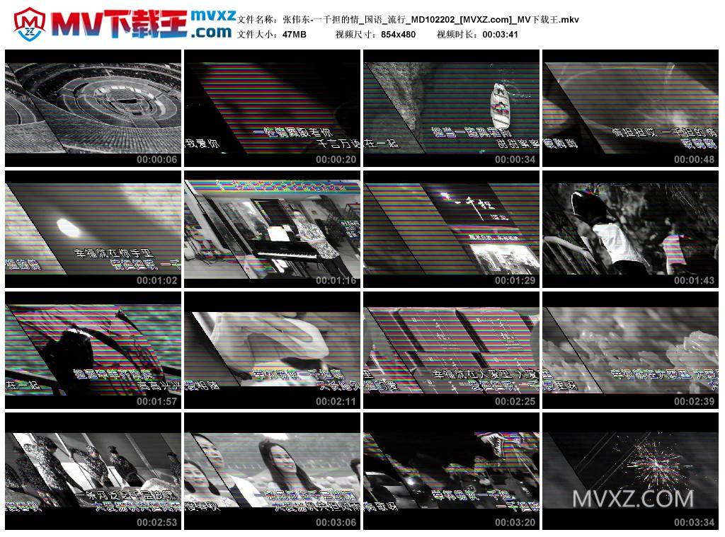 张伟东-一千担的情_国语_流行_MD102202